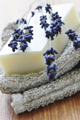 Just Ask: Learn About Castile Soap and Composting Kitchen Waste